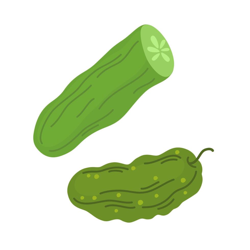 Fresh whole cucumber and its cut piece. Raw green vegetable. Healthy veggie food. Flat illustration isolated on white background vector