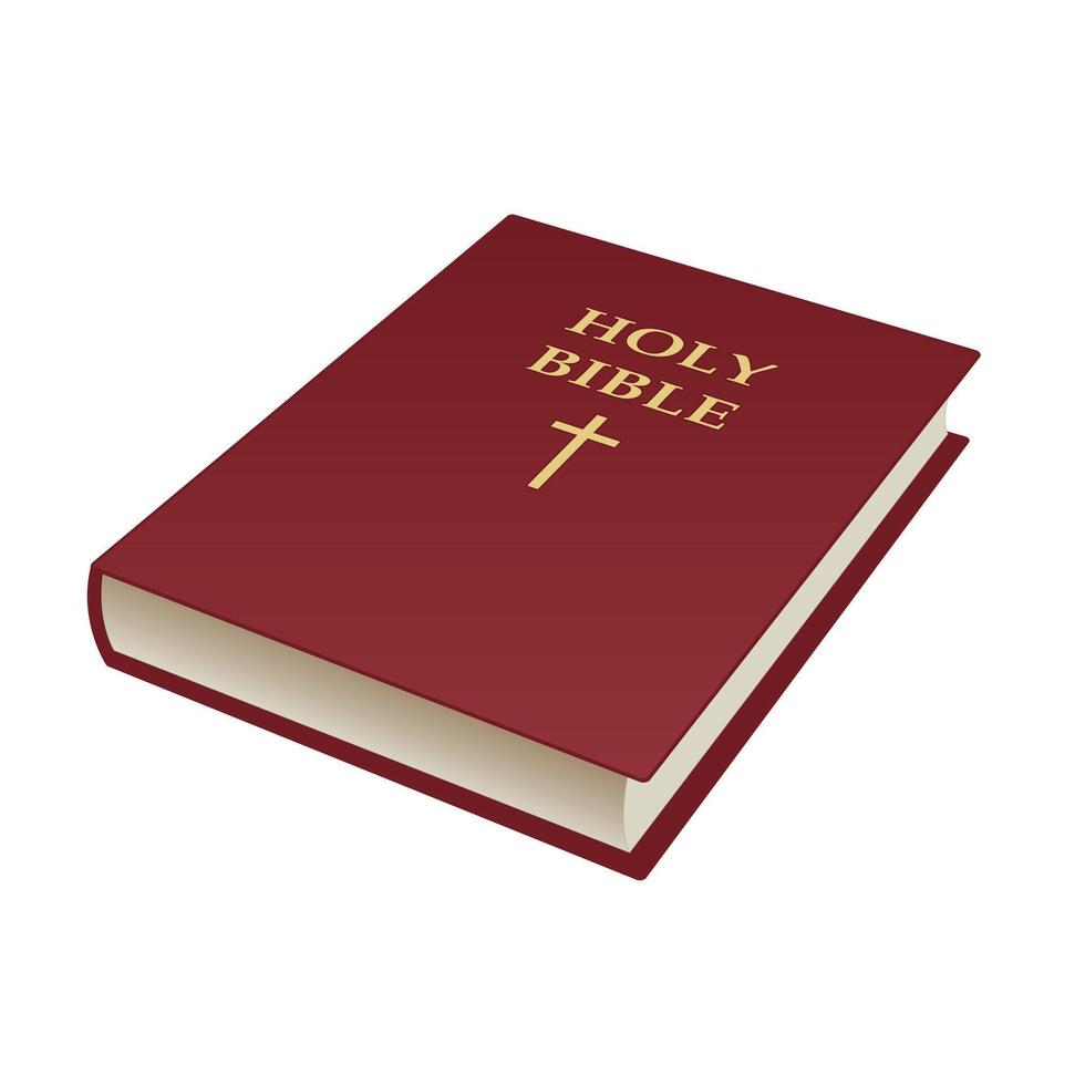 Holy bible - closed book illustration isolated on white background vector