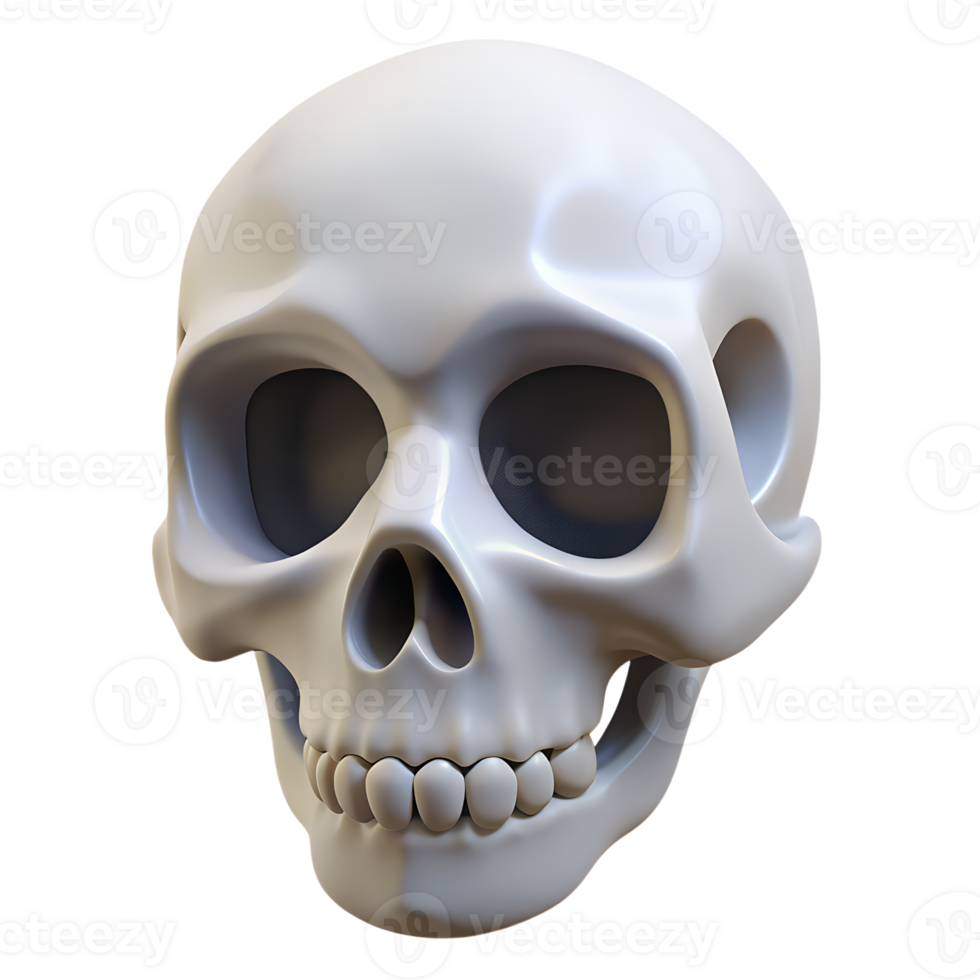 Human skull structure 3d icon on the transparent background png