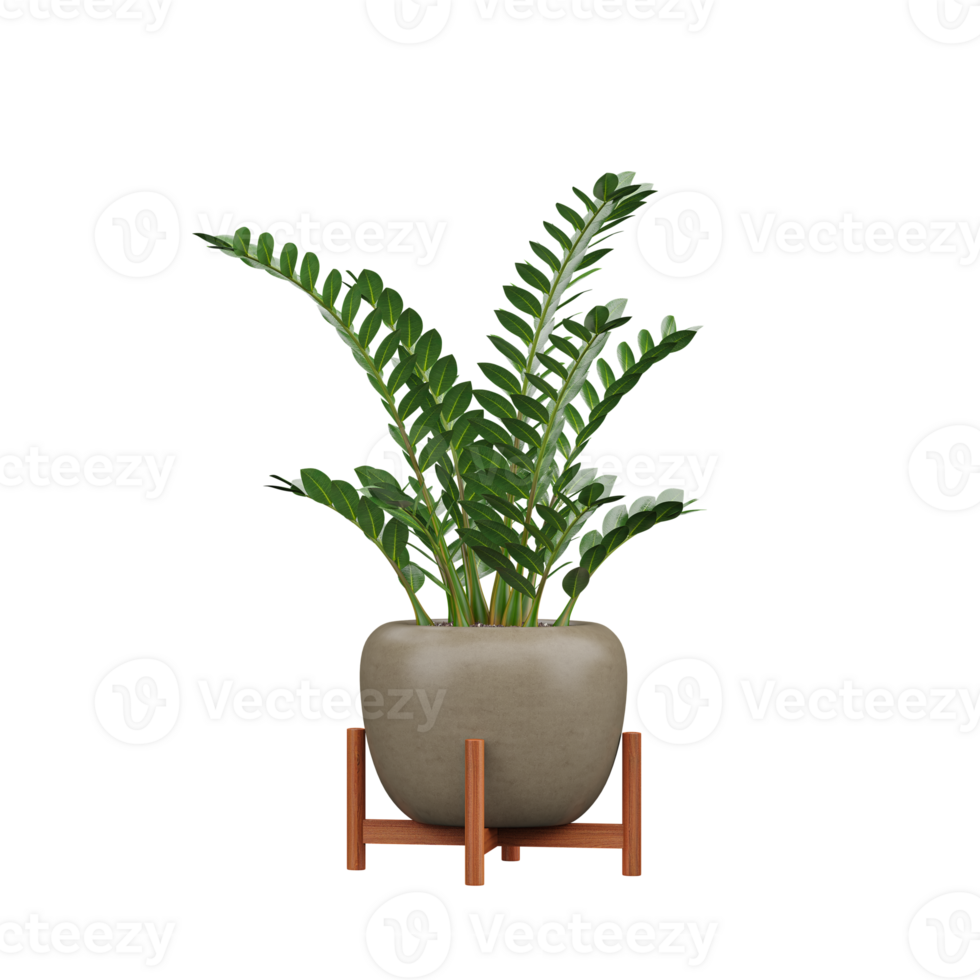 3d rendering of Zanzibar Gem plant in pot on isolated Canvas png