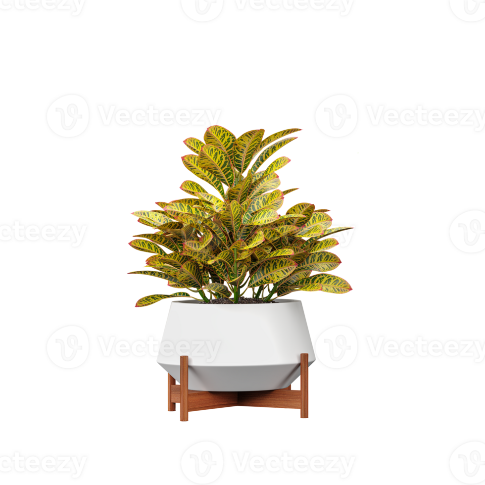 3d rendering of Garden croton plant in pot on isolated Canvas png