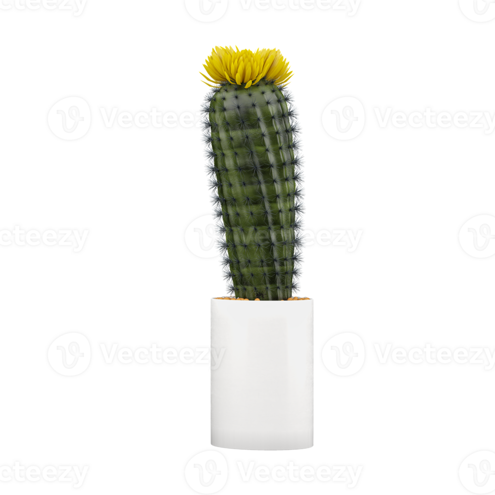 3d rendering of Barrel cactus isolated on transparent Canvas png
