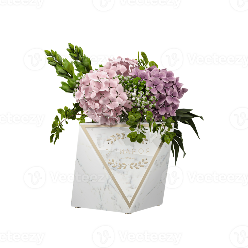 Hydrangea macrophylla plant on isolated Canvas png