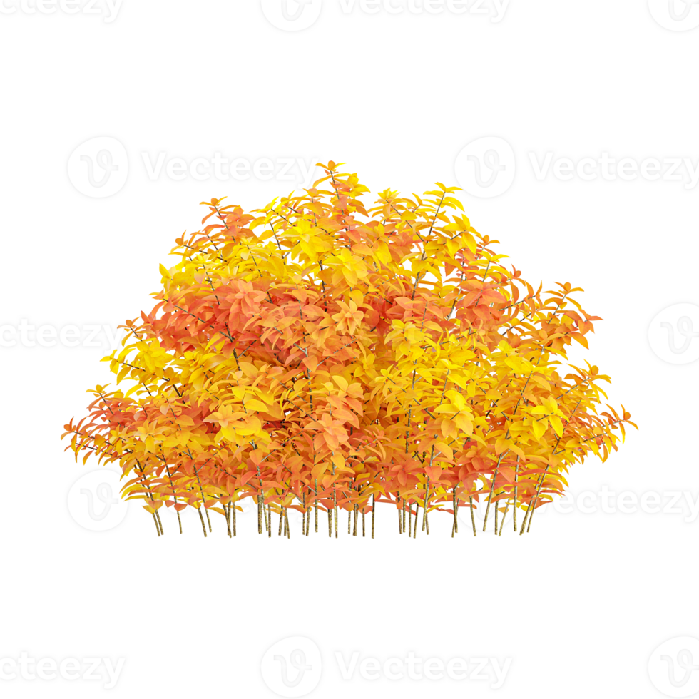 collection of Autumn Yellow Plant with realistic style png