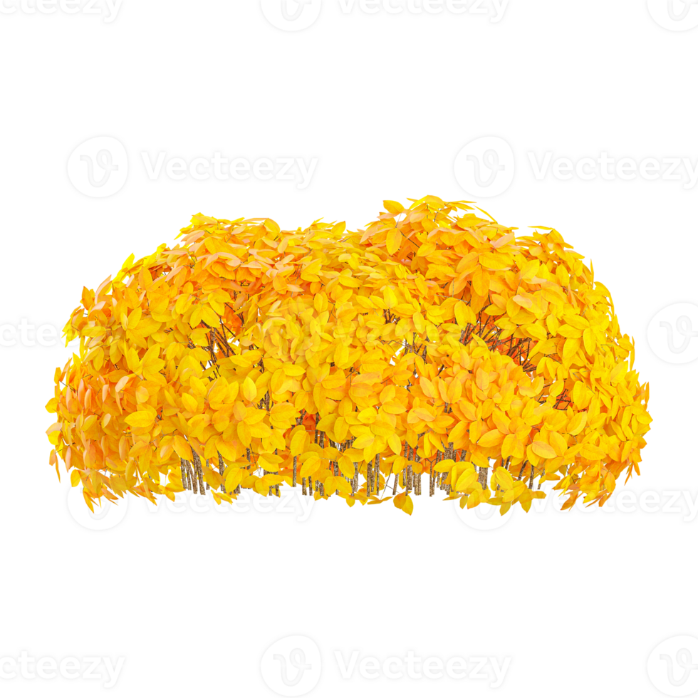 Beautiful Autumn Yellow tree isolated on transparent Canvas png