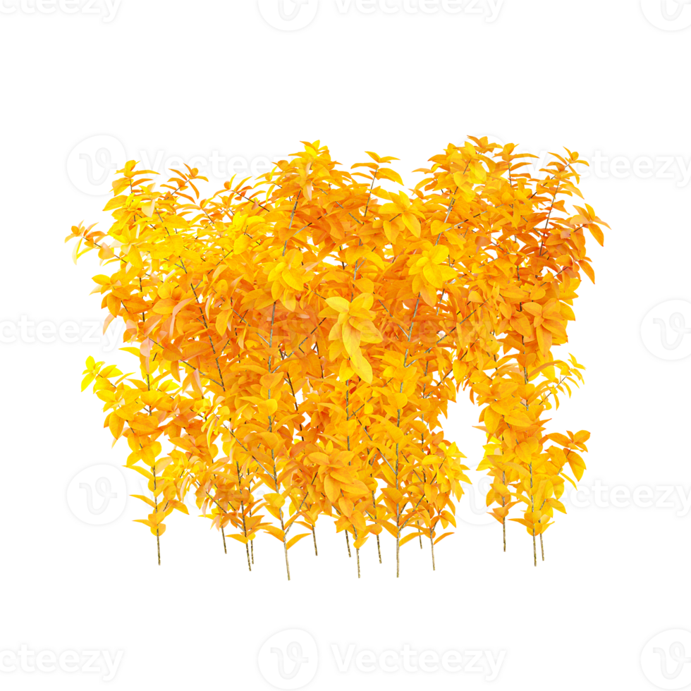 Autumn Yellow Plant isolated on transparent Canvas png
