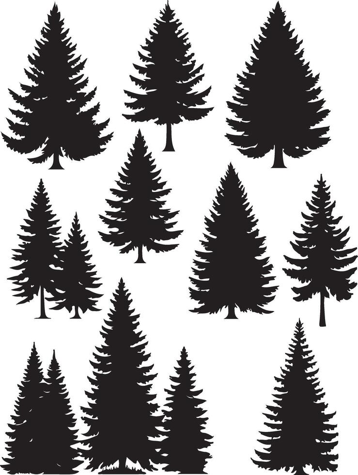 silhouettes of fir and pine trees vector