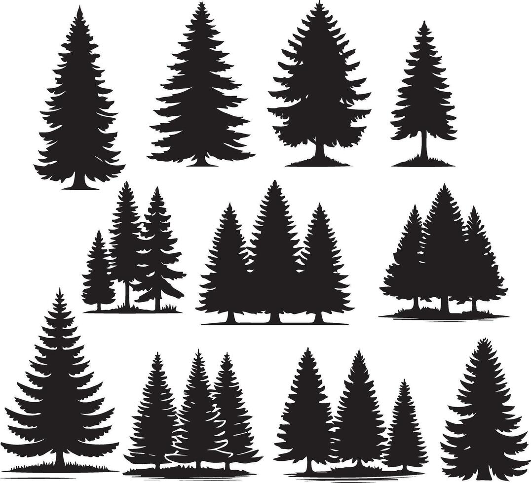 silhouettes of fir and pine trees vector