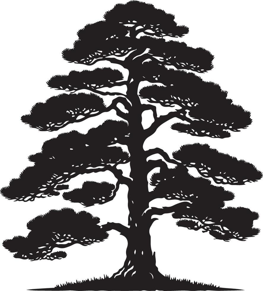 Pine Tree, black color silhouette vector