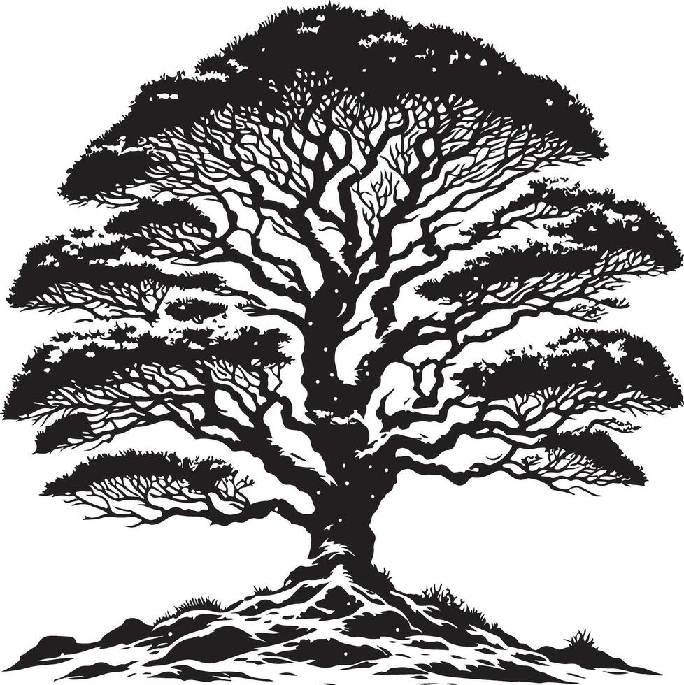 A black and white drawing of a tree with snow on the branches vector