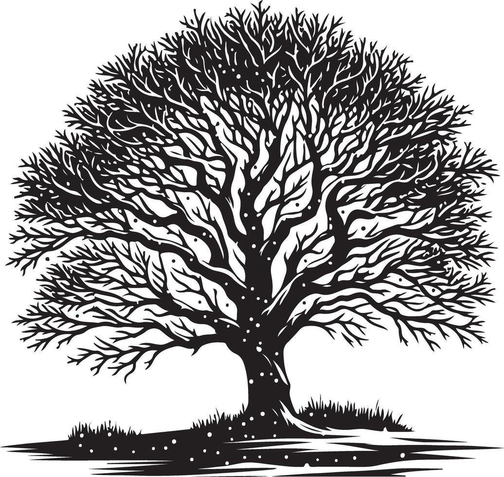 A black and white drawing of a tree with snow on the branches vector