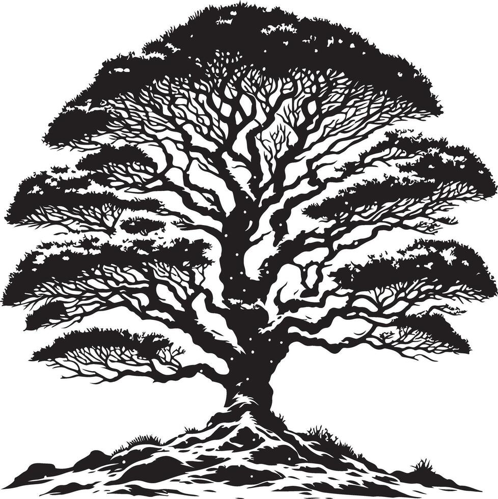 A black and white drawing of a tree with snow on the branches vector