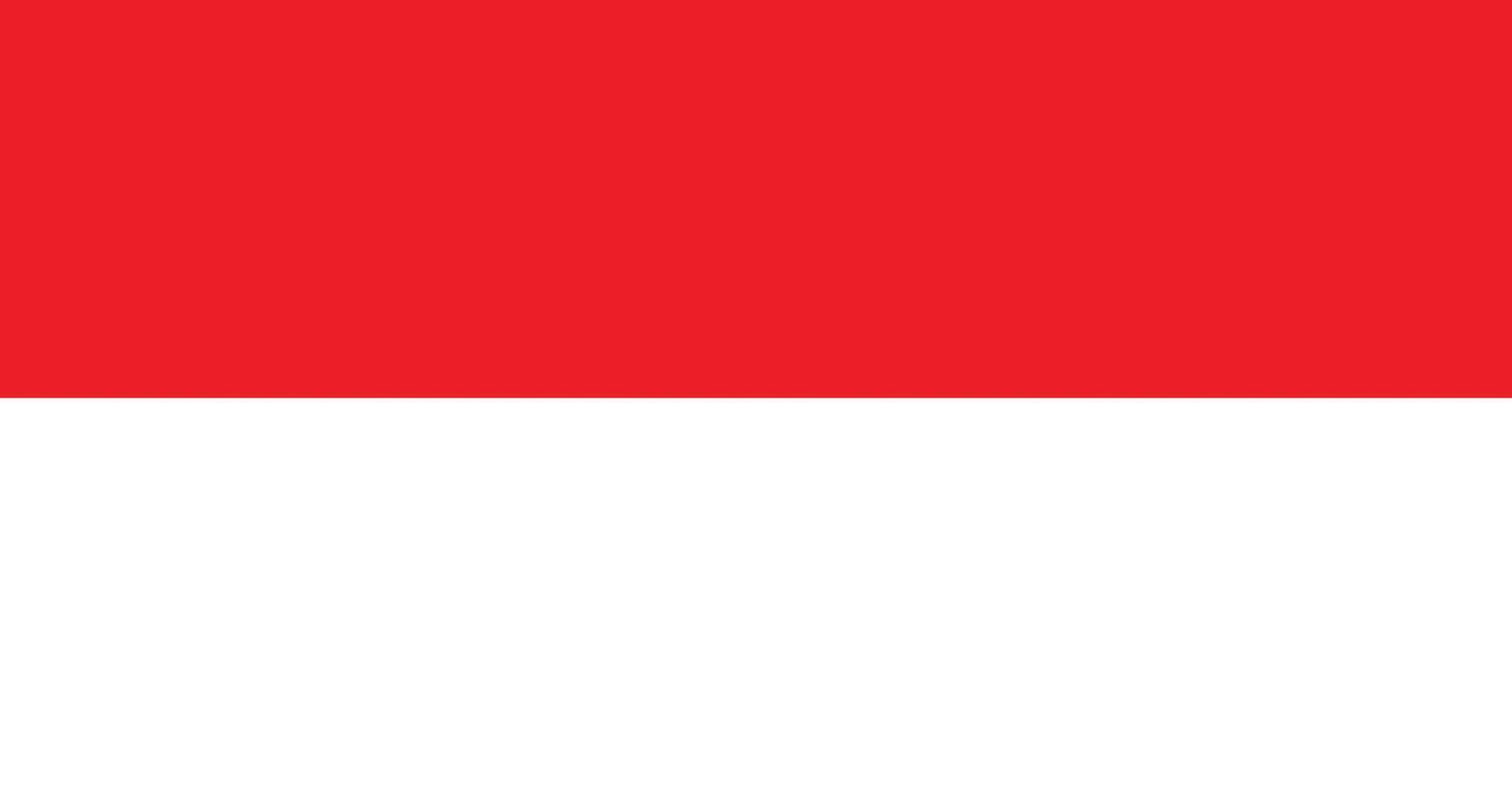 Flag of Indonesia. illustration vector