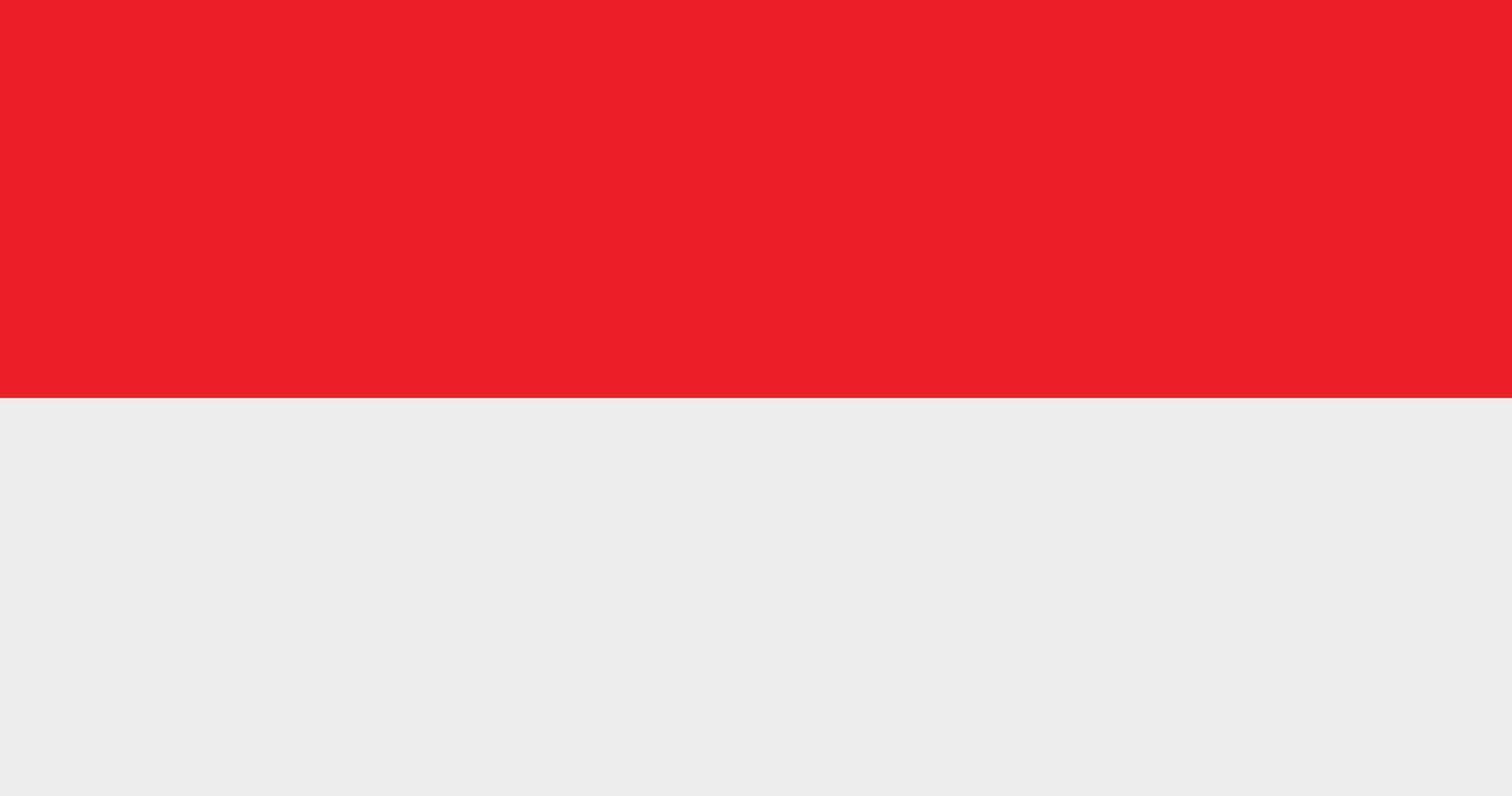 Flag of Indonesia. illustration vector
