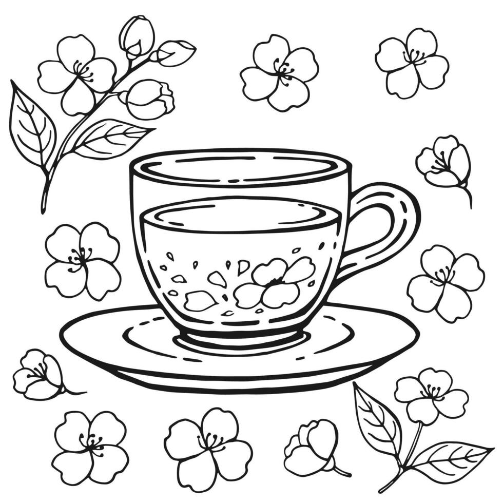 Set with glass cup tea, jasmine. Hand drawn illustration in outline style. vector