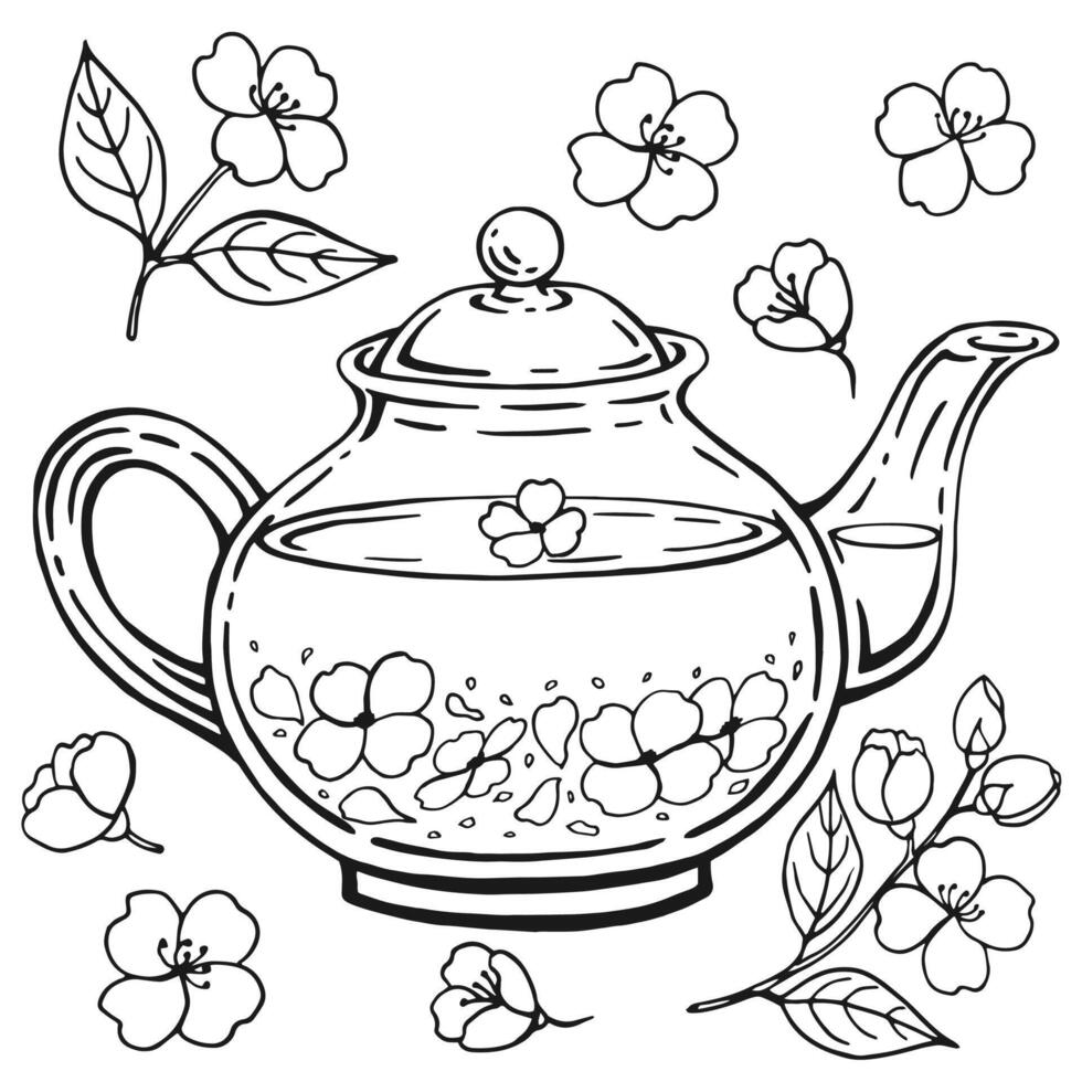Glass teapot, jasmine. Hand drawn illustration in outline style. vector