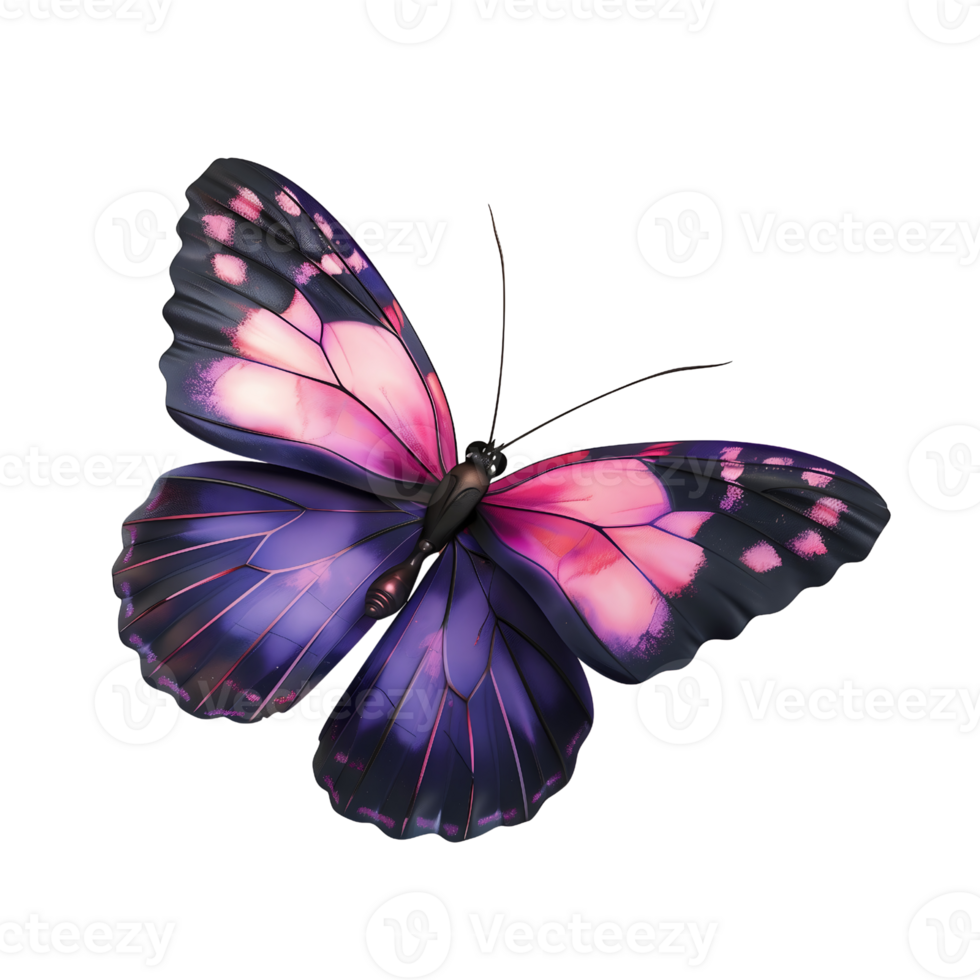 purple, pink, black butterfly isolated on transparent background png