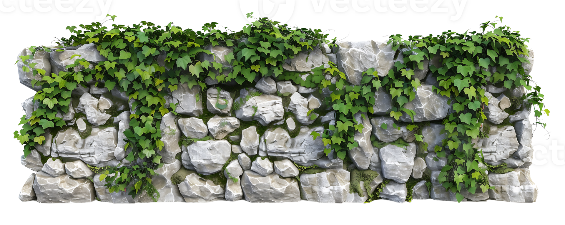 Stone wall covered in vines isolated on transparent background png