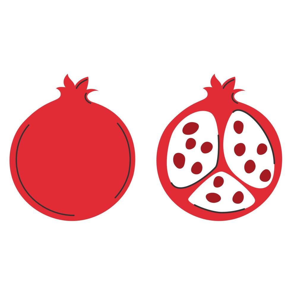 Pomegranate whole fruit and half. Ripe red fruit. Fresh vitamin food vector