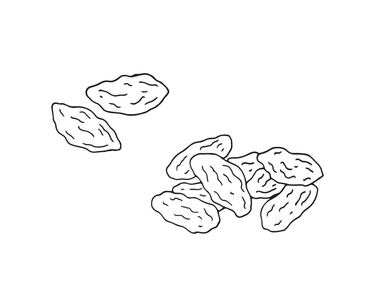 Hand-drawn dried goji berries. Food illustration isolated on white. vector