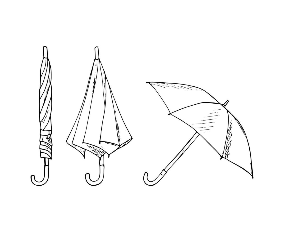 Hand-drawn umbrella. Folded, closed, and opened parasol. Isolated illustration on white background. vector