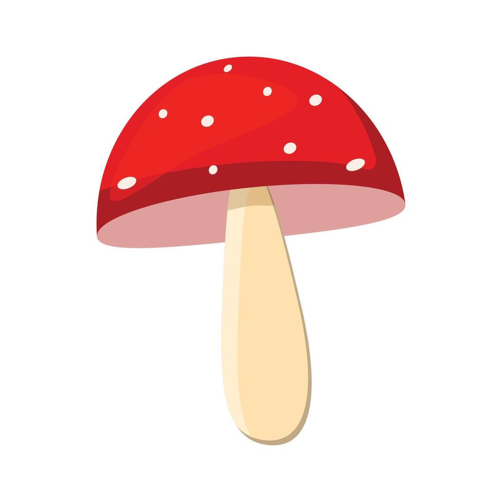 The fly agaric is red. A mushroom with a red cap and a white leg. Flat illustration. vector