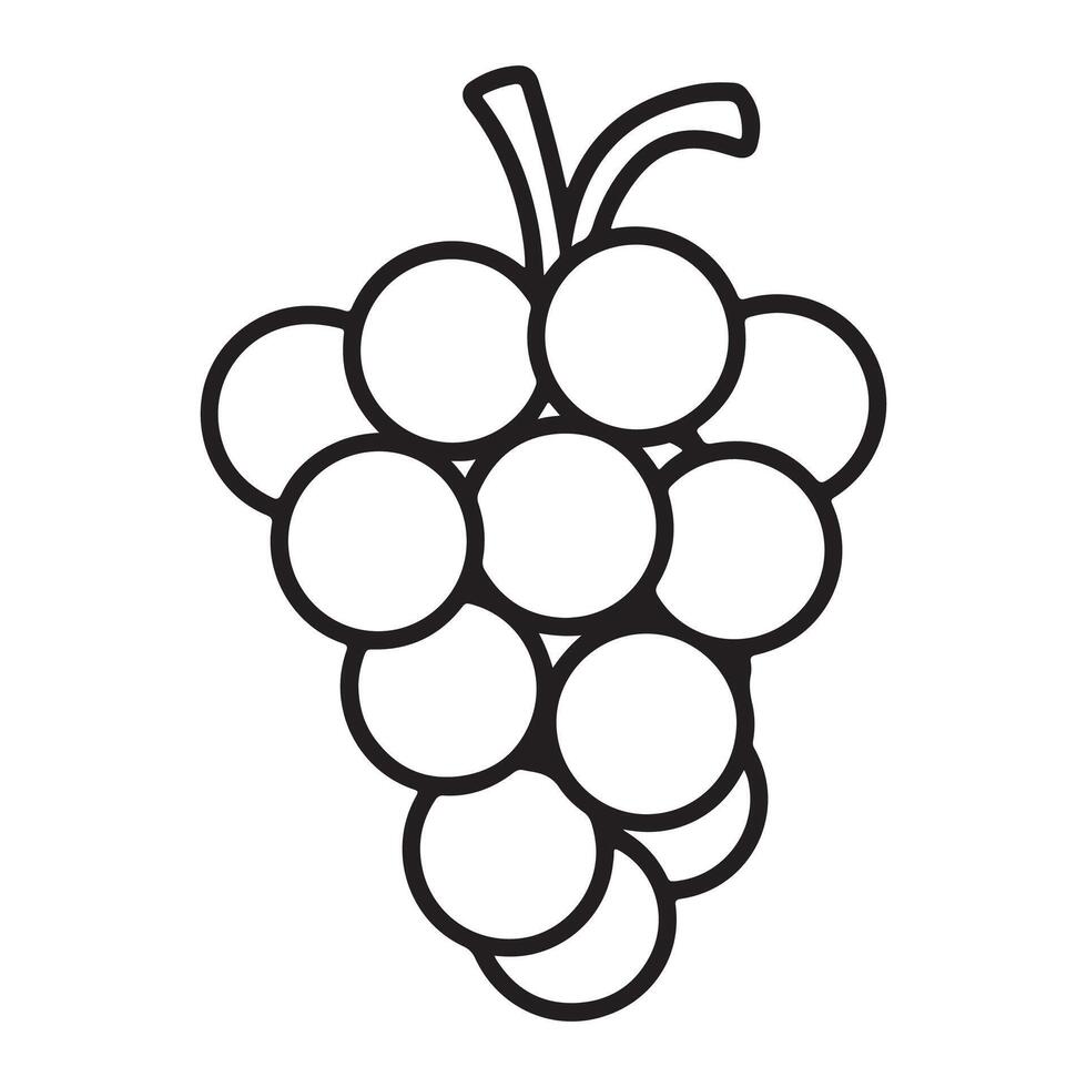 line art of grapes vector