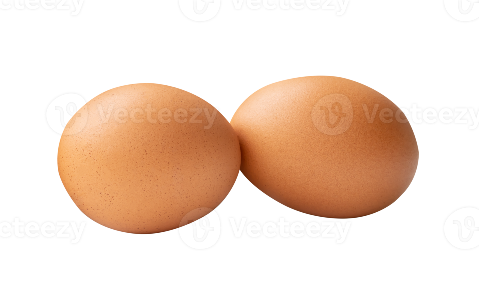 Side view of two brown chicken eggs isolated with clipping path in file format png