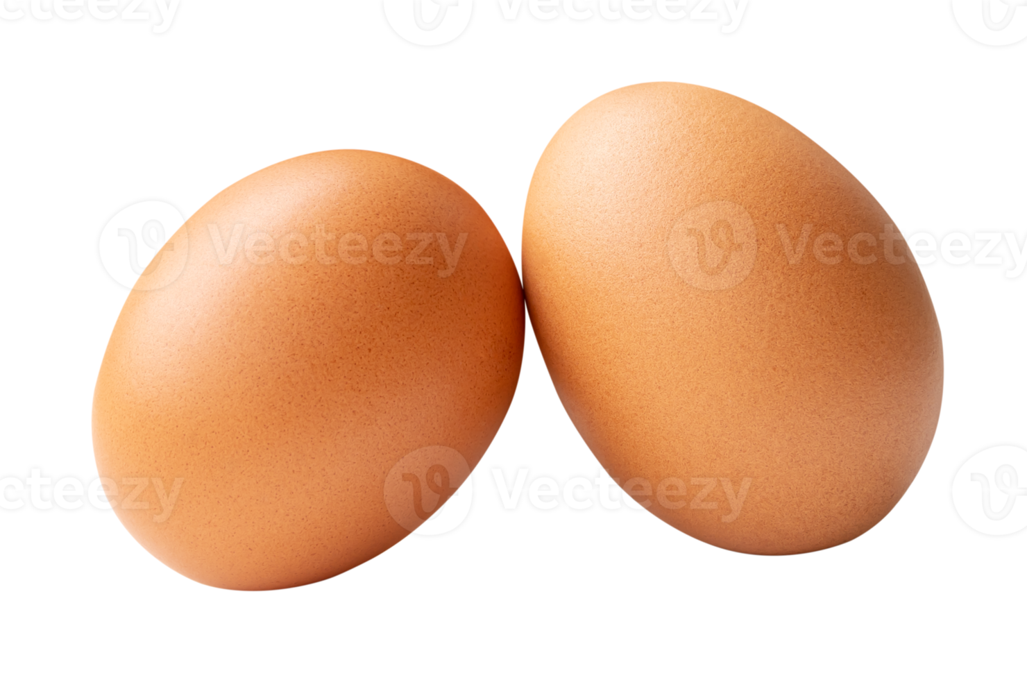 Front view of two fresh brown chicken eggs isolated with clipping path in file format png