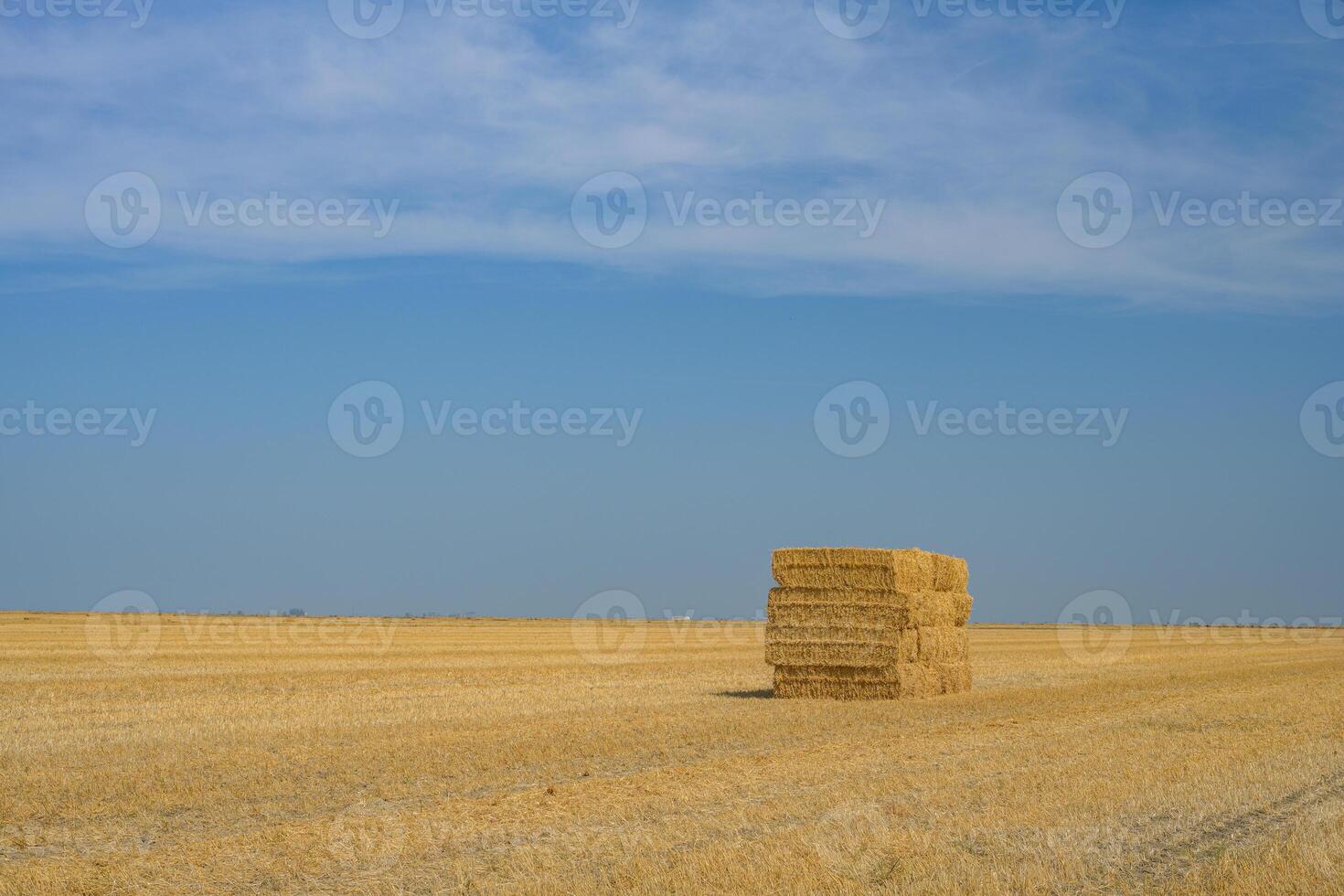 Stack of Hay photo