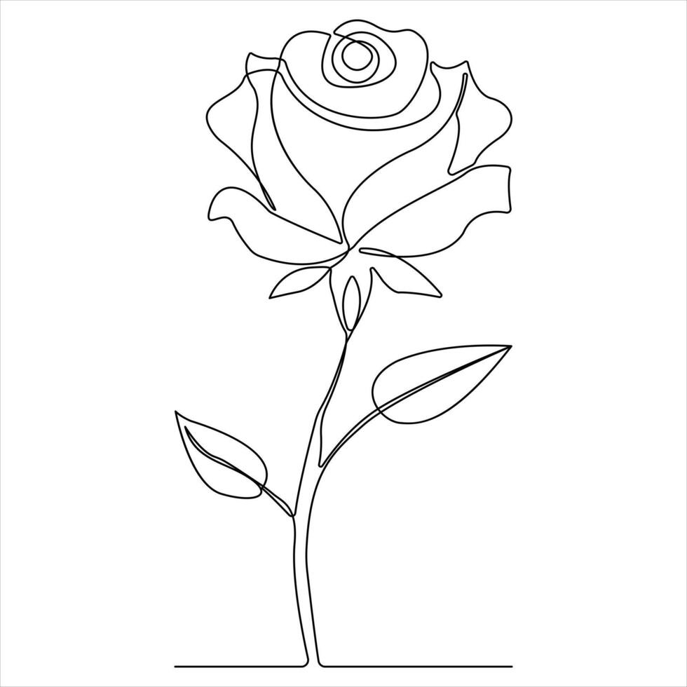 Continuous single line art drawing of beauty rose flower illustration vector