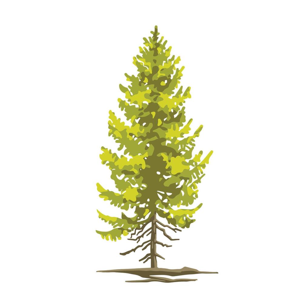Colored simple tree illustration fir tree pine vector
