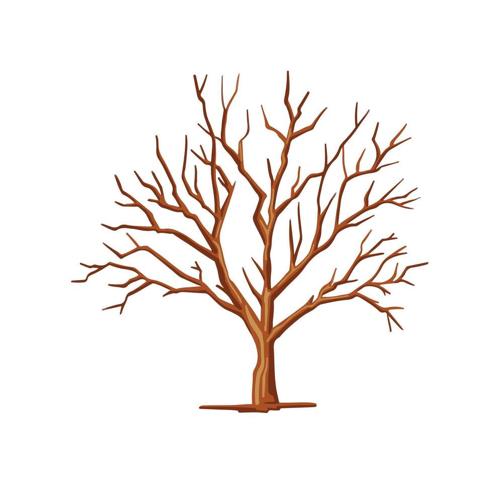 Colored illustration of a dry bare tree. vector