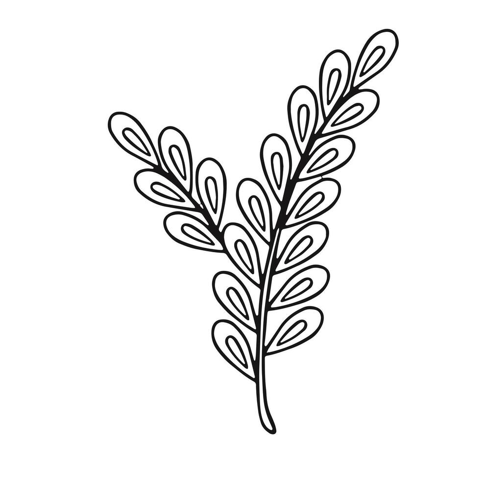 linear dried flower reed, illustration Doodle style. vector