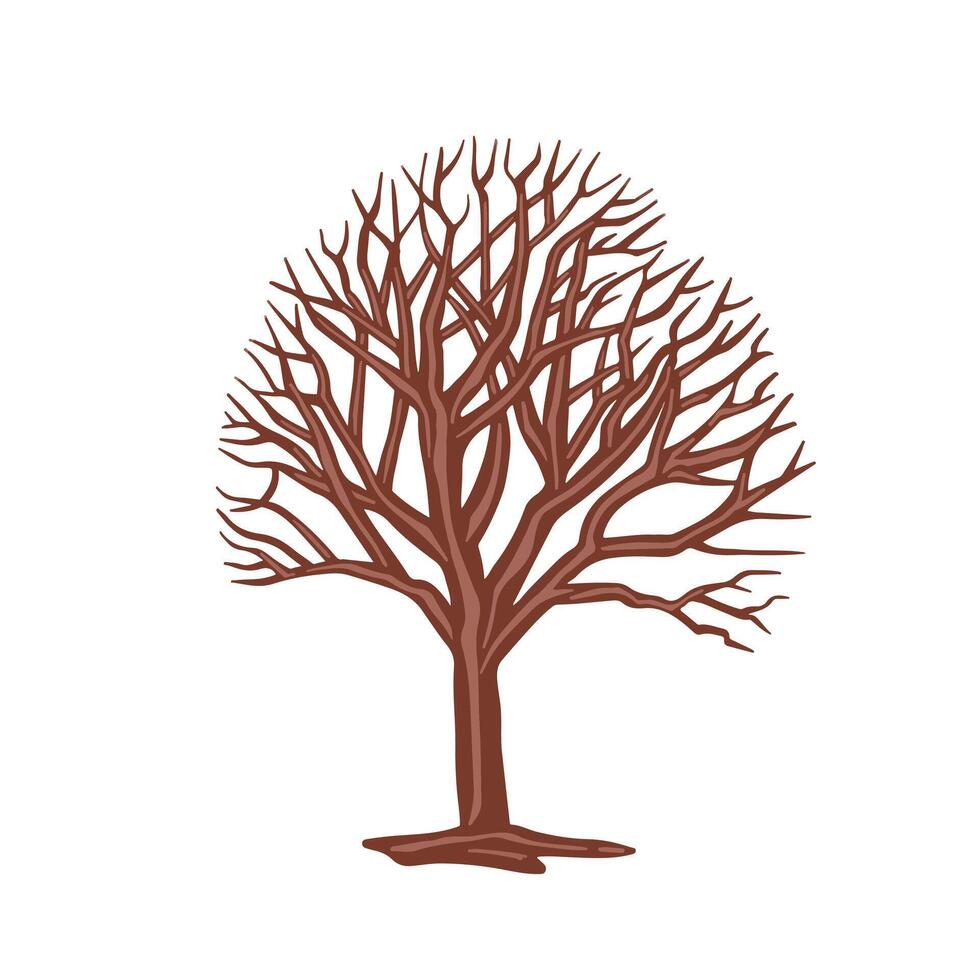 Tree with fallen leaves, bare tree. color illustration vector