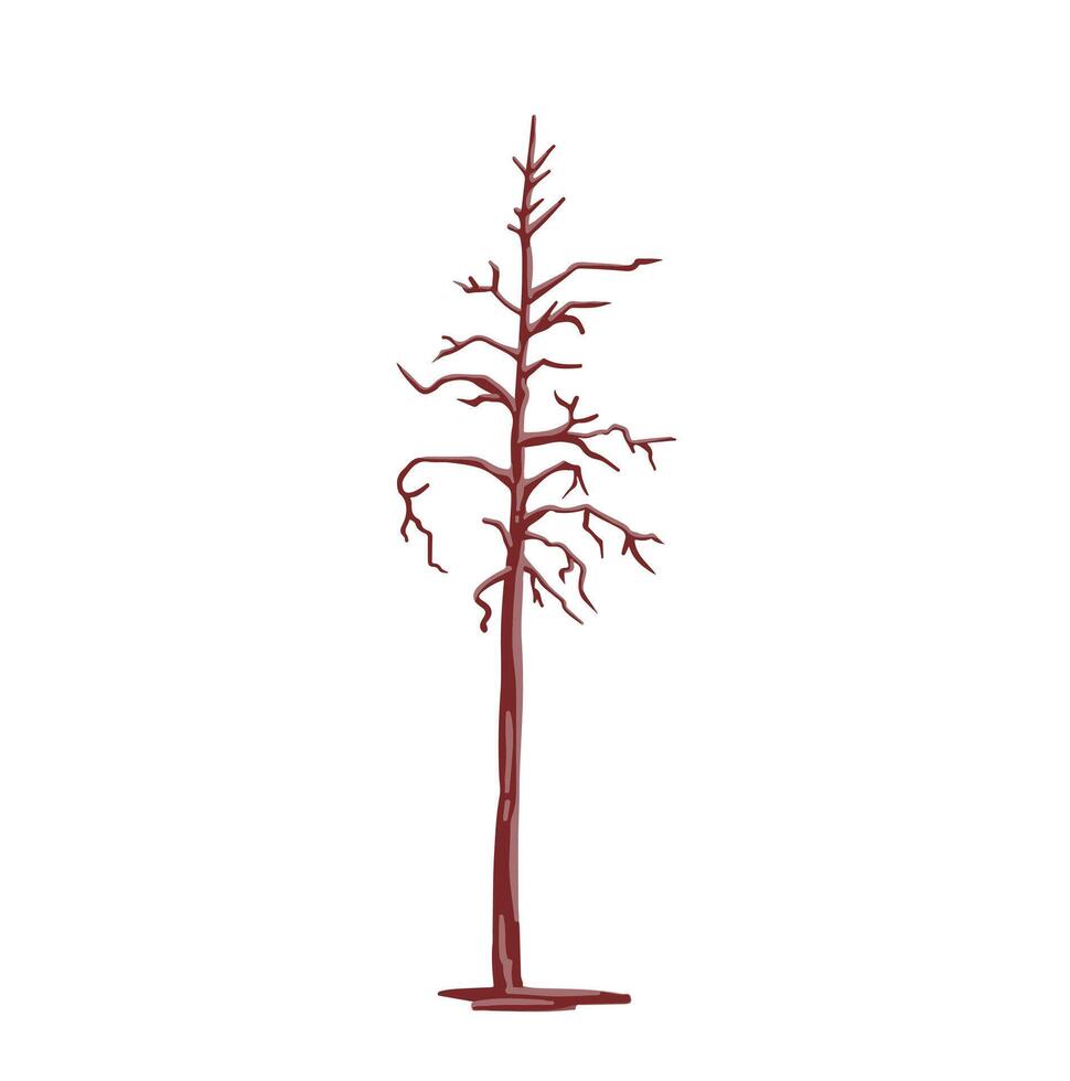 Colored simple illustration of burnt tree, spruce, pine vector