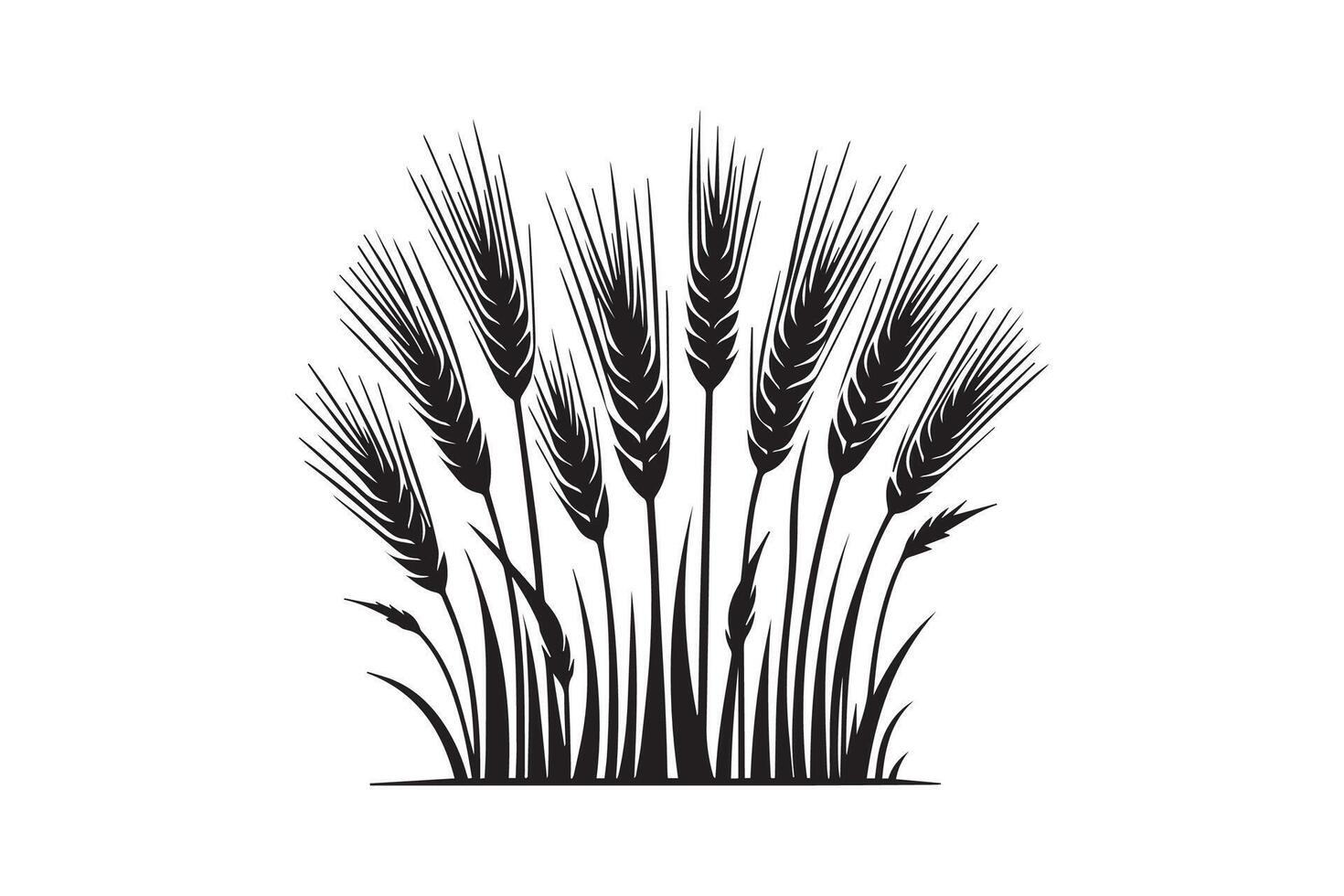 Agriculture and growing crops. Barley Wreath black and white illustration isolated in white background vector