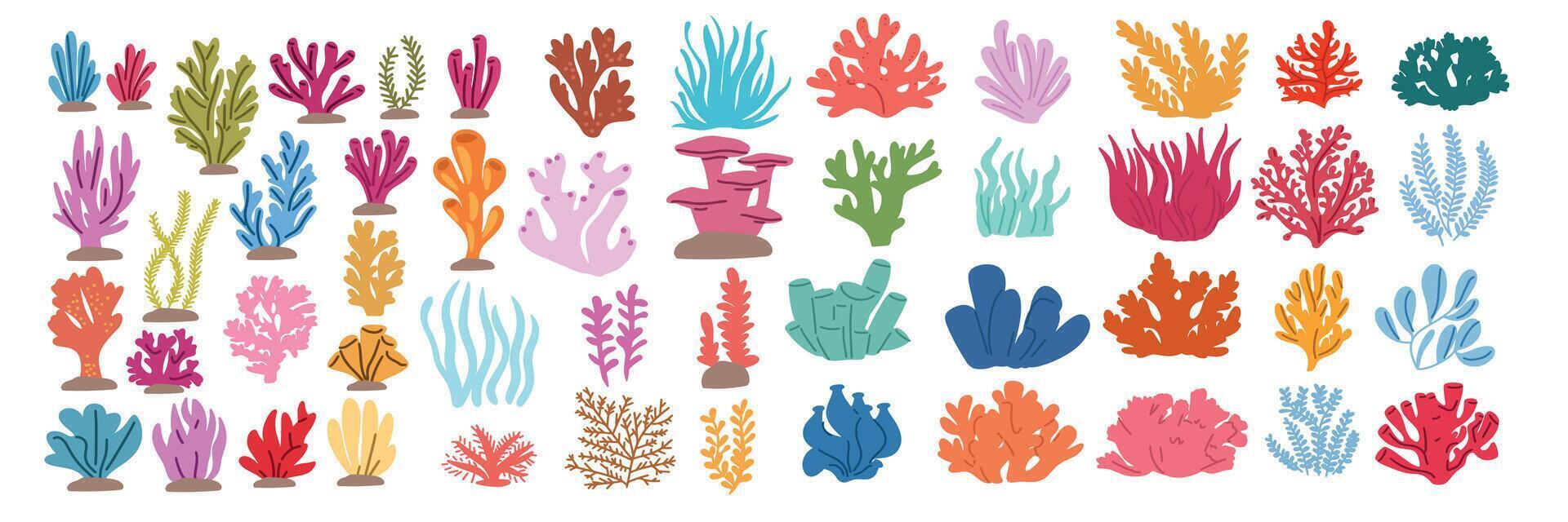 Collection of underwater plants isolated in flat style. Hand drawn art. vector