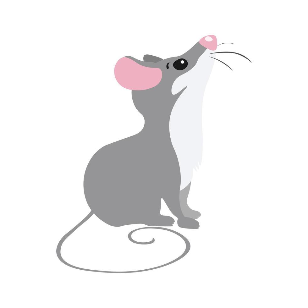 Gray mouse. animal. illustrations vector