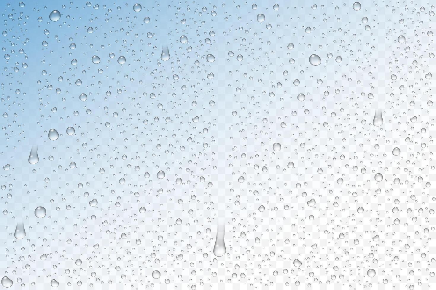 realistic water drops condensed vector