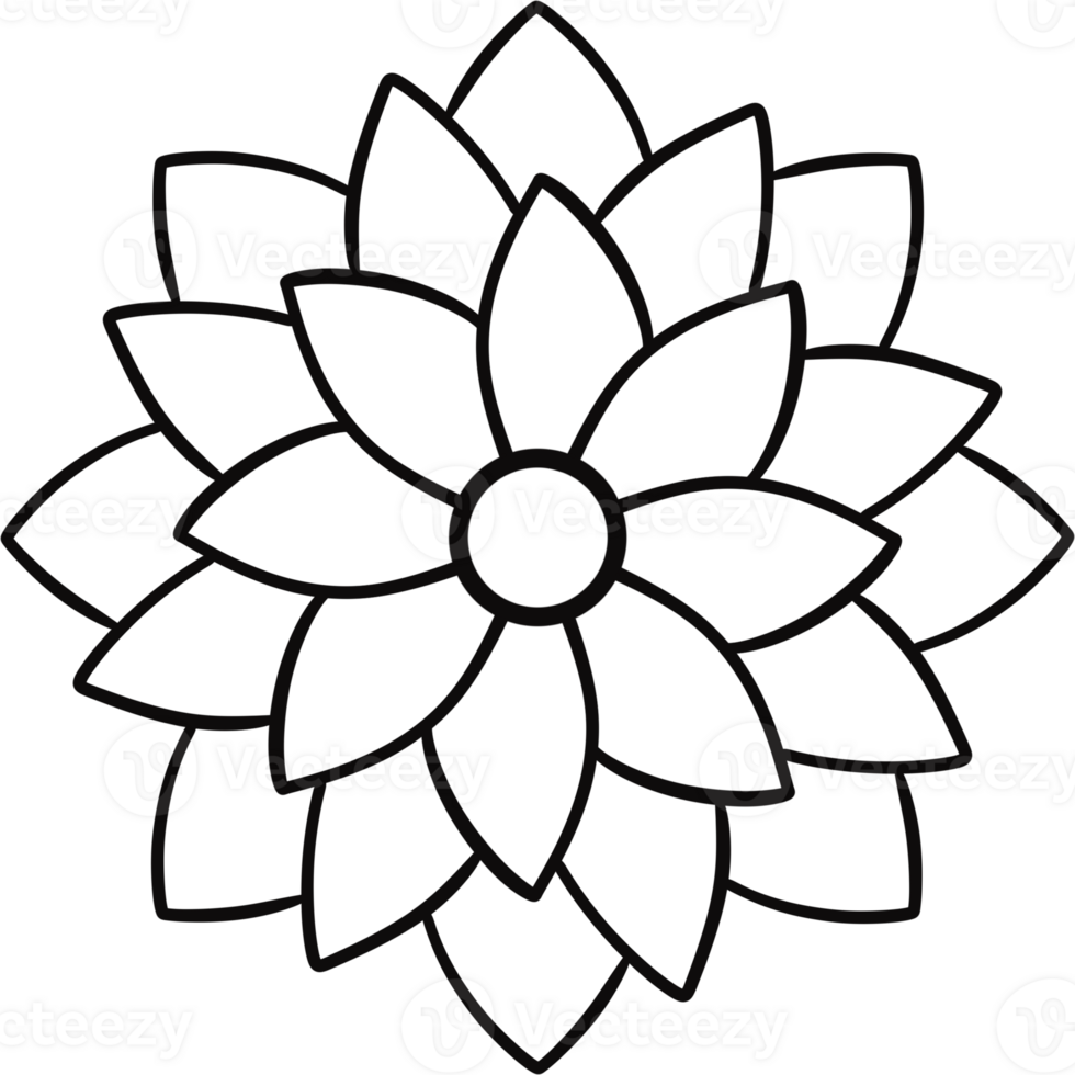 Floral Flower simple hand drawn. png