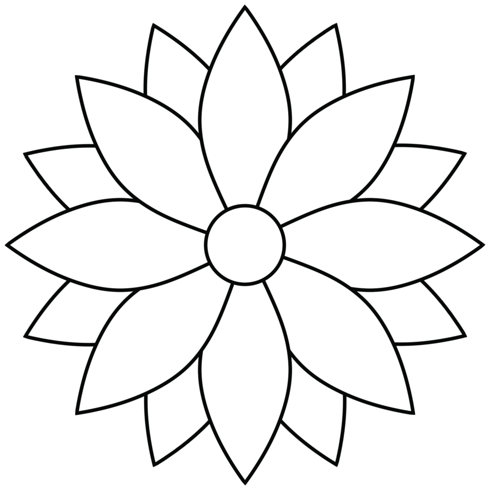 Floral and Flower simple png