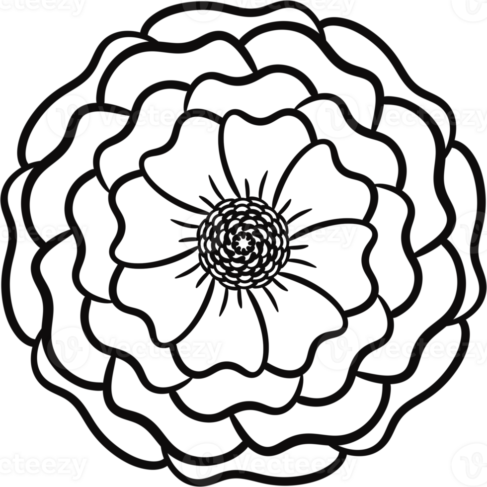 Floral Flower simple hand drawn. png