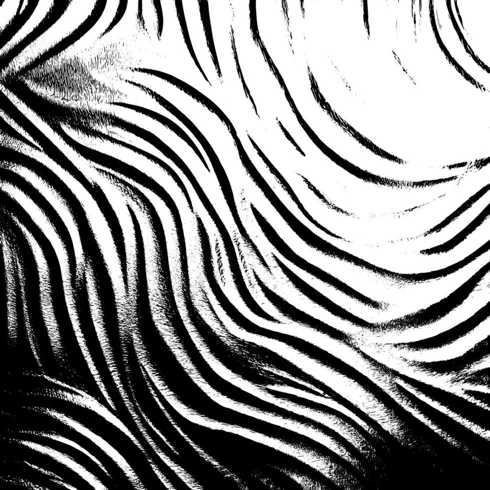 Grunge stripes and lines texture background. Abstract overlay. Dirty and damaged backdrop. vector