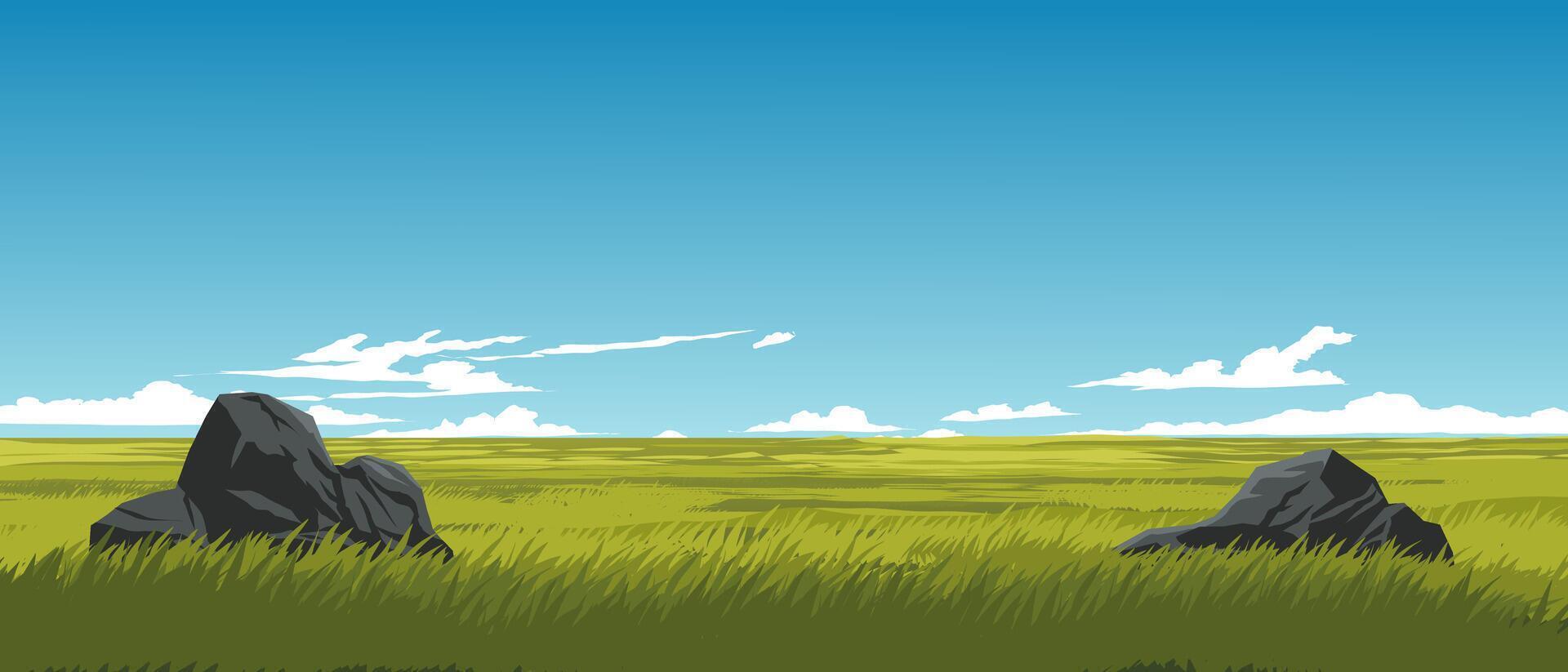 Grassland on sunny day. Summer background vector