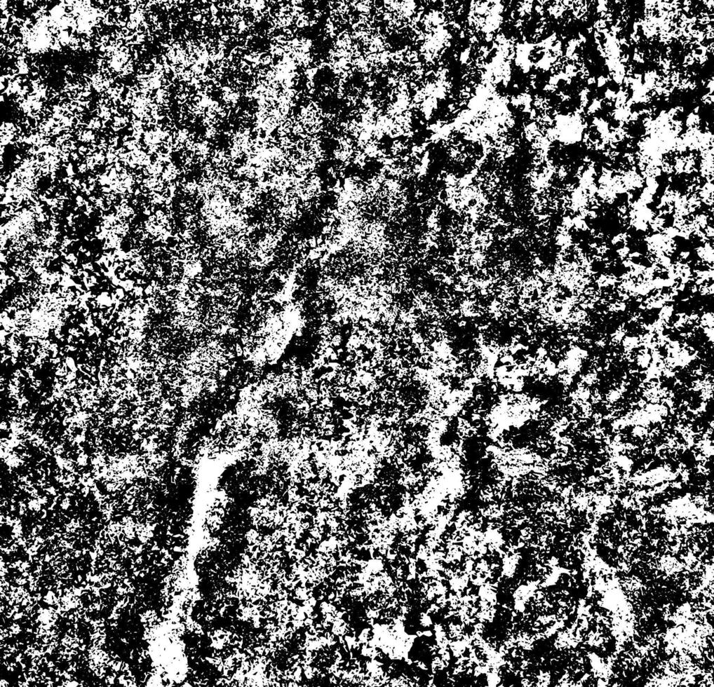 Rustic grunge texture with grain and stains. Abstract noise background. Weathered surface. vector