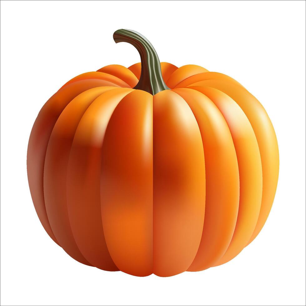Realistic Pumpkin Illustration for Halloween or Thanksgiving vector