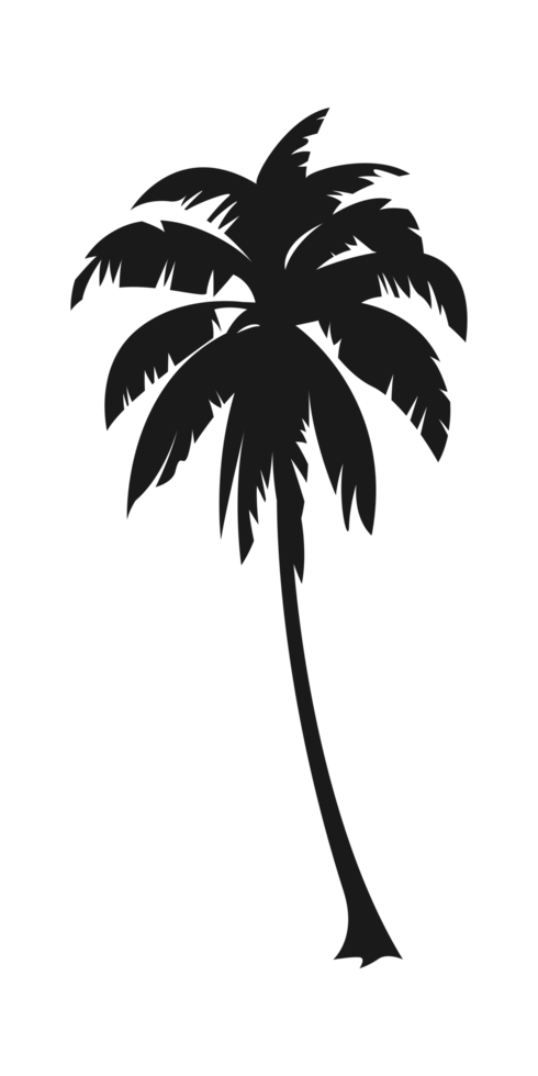 Silhouette of palm tree, coconut tree. Nature, environment concept illustration. png