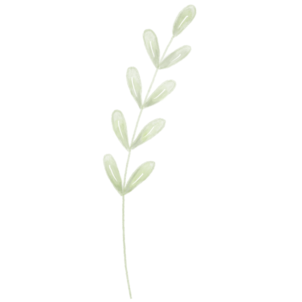 Simple Light Green Watercolour Plant on a Transparent Background png