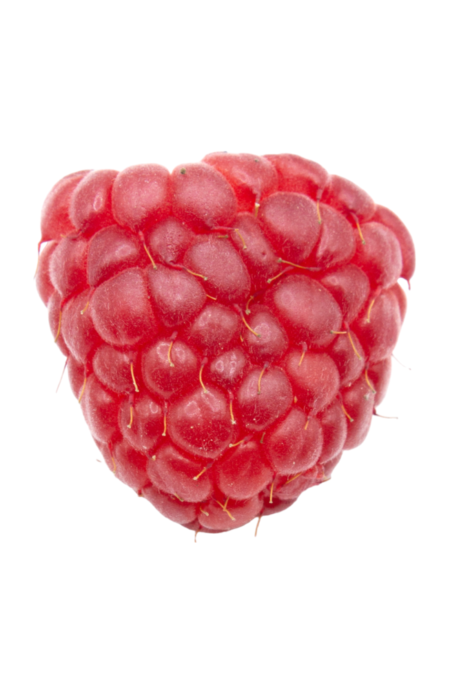 raspberries isolated on Transparent background png